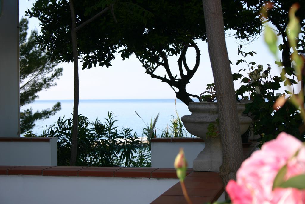 Hotel Piccolo Paradiso Di ローディ・ガルガーニコ エクステリア 写真